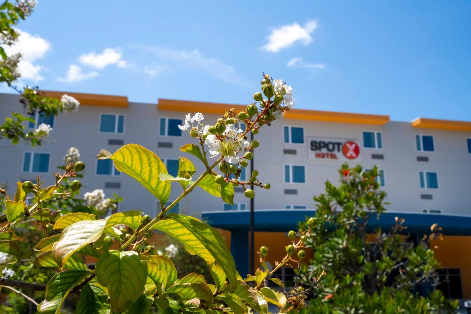 Spot X Hotel Orlando Intl Dr By The Red Collection Lake Buena Vista Dış mekan fotoğraf